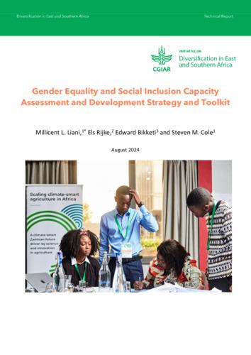 Gender equality and social inclusion capacity assessment and development strategy and toolkit
