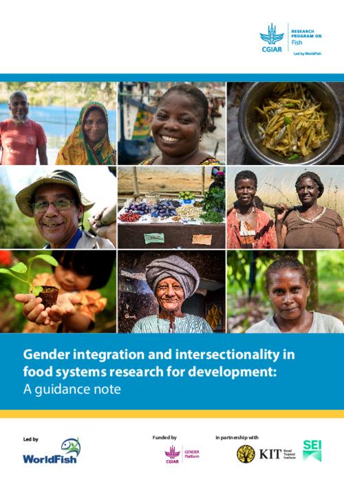Gender integration and intersectionality in food systems research for development: A guidance note