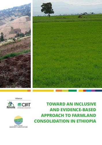 Toward an inclusive and evidence-based approach to farmland consolidation in Ethiopia