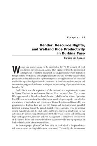 Gender, resource rights, and wetland rice productivity in Burkina Faso