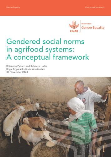 Gendered social norms in agrifood systems: A conceptual framework
