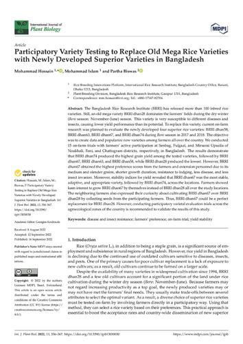 Participatory Variety Testing to Replace Old Mega Rice Varieties with Newly Developed Superior Varieties in Bangladesh