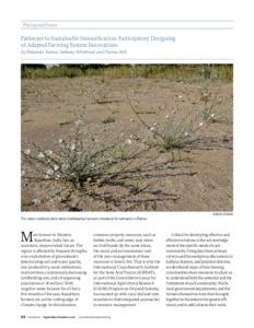 Pathways to Sustainable Intensification: Participatory Designing of Adapted Farming System Innovations