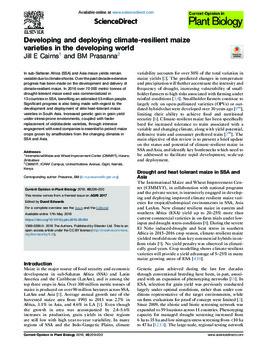 Developing and deploying climate-resilient maize varieties in the developing world