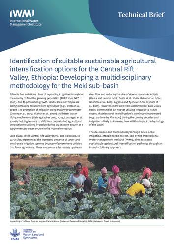 Identification of suitable sustainable agricultural intensification options for the Central Rift Valley, Ethiopia: Developing a multidisciplinary methodology for the Meki sub-basin