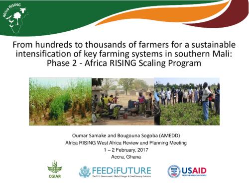 From hundreds to thousands of farmers for a sustainable intensification of key farming systems in southern Mali: Phase 2—Africa RISING Scaling Program