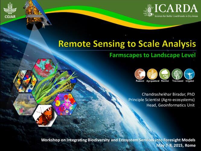 Remote Sensing to Scale Analysis