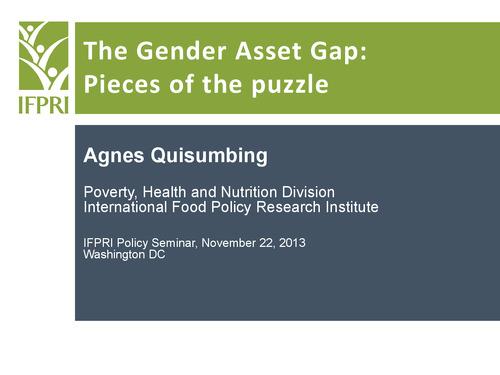 The Gender Asset Gap: Pieces of the puzzle