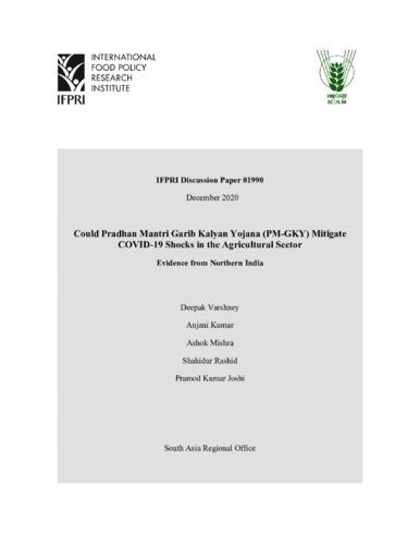 Could Pradhan Mantri Garib Kalyan Yojana (PM-GKY) mitigate COVID-19 shocks in the agricultural sector: Evidence from Northern India