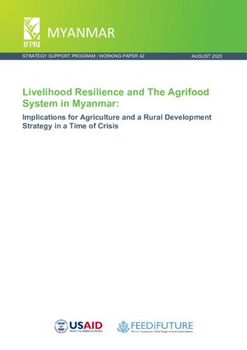 Livelihood resilience and the agrifood system in Myanmar: Implications for agriculture and a rural development strategy in a time of crisis