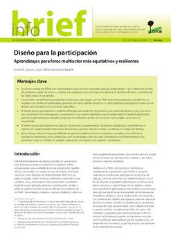Diseño para la participación: Aprendizajes para foros multiactor más equitativos y resilientes
