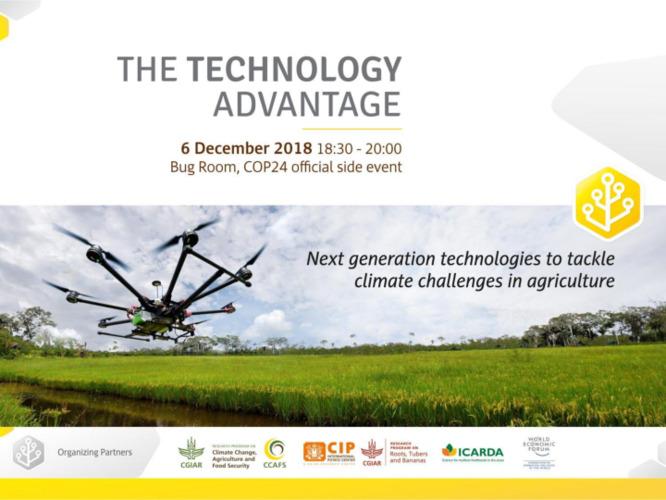 Combining crop rotation, crop improvement and new technologies in the design of climate-smart cereal production in the drylands