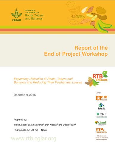 Report of the end of project workshop