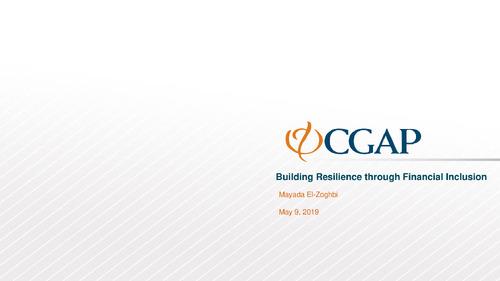 Mayada El-Zoghbi, Building Resilience through Financial Inclusion