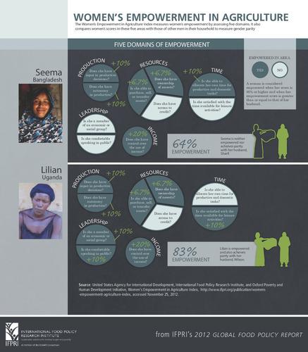 Women's empowerment in agriculture