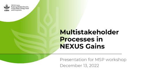 Multistakeholder Processes in NEXUS Gains
