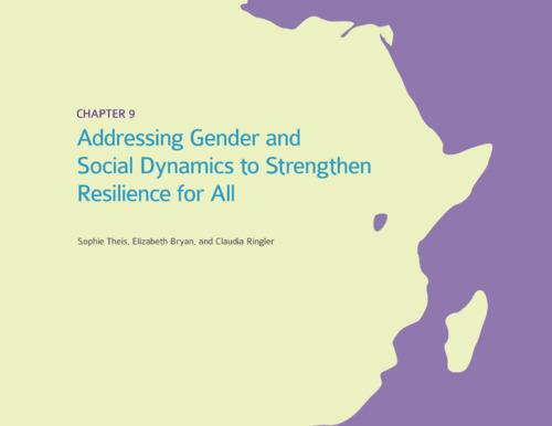 Addressing gender and social dynamics to strengthen resilience for all