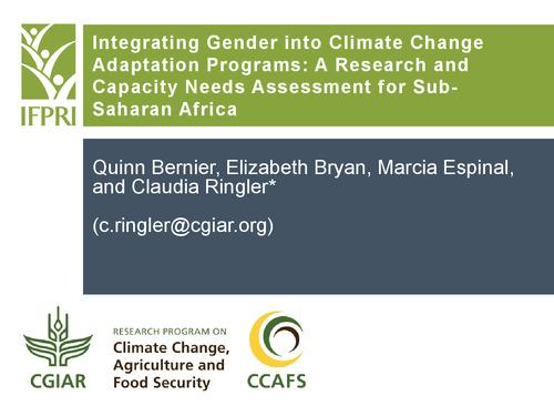 Integrating Gender into Climate Change Adaptation Programs: A Research and Capacity Needs Assessment for Sub-Saharan Africa