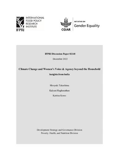 Climate change and women’s voice and agency beyond the household: Insights from India