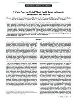 A white paper on global wheat health based on scenario development and analysis