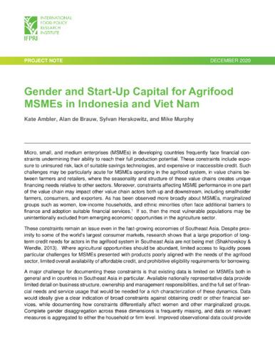Gender and start-up capital for agrifood MSMEs in Indonesia and Viet Nam