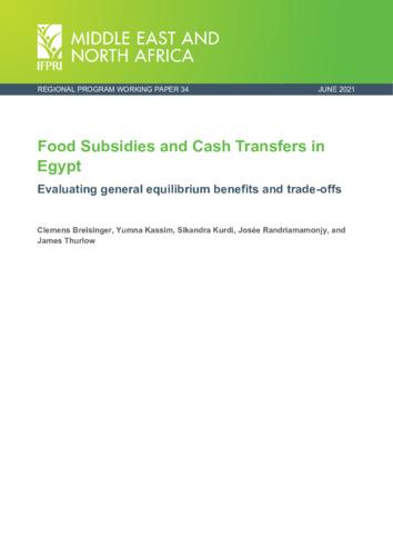 Food subsidies and cash transfers in Egypt: Evaluating general equilibrium benefits and trade-offs