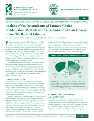 Analysis of the determinants of farmers’ choice of adaptation methods and perceptions of climate change in the Nile basin of Ethiopia