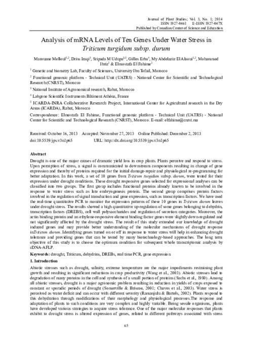 Analysis of mRNA Levels of Ten Genes Under Water Stress in Triticum turgidum subsp. durum