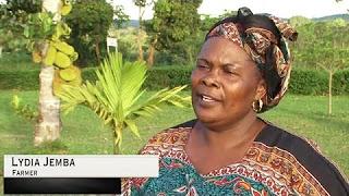 Better breeds for better dairying in East Africa