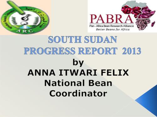 South Sudan Progress Report 2013