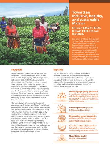 Toward an inclusive, healthy, and sustainable Malawi. CIP, CIAT, CIMMYT, ICRAF, ICRISAT, IFPRI, IITA and WorldFish