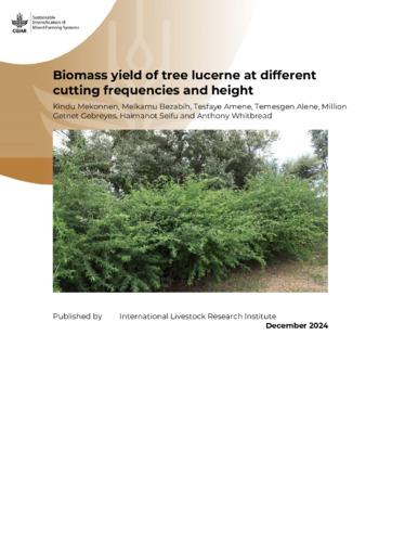 Biomass yield of tree lucerne at different cutting frequencies and height