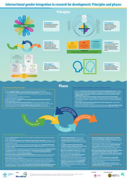 Intersectional gender integration in research for development: Principles and phases