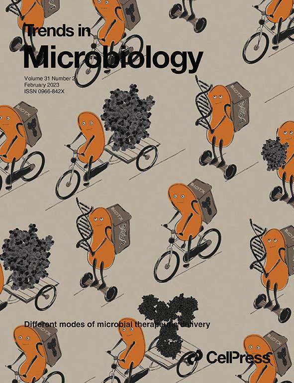 Healthcare provider-focused antimicrobial stewardship in sub-Saharan Africa: opportunities and challenges