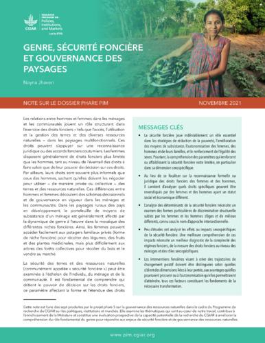 Gender, tenure security, and landscape governance