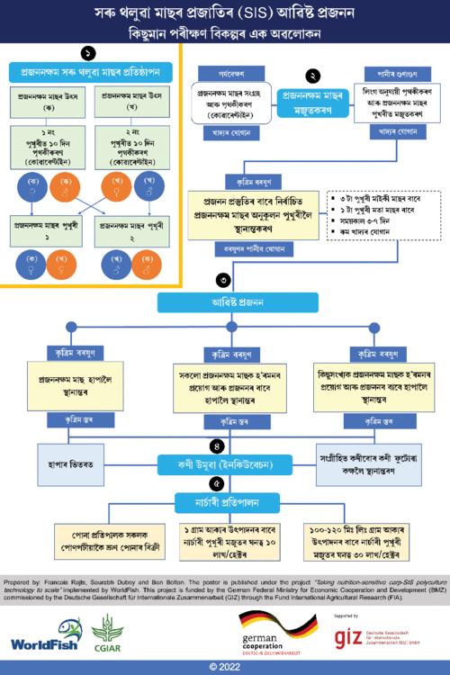 Induced breeding of small indigenous fish species (SIS): An overview of some trial options
