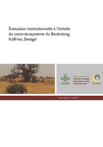 Évaluation institutionnelle à l’échelle du socio-écosystème du Baobolong, Kaffrine, Sénégal
