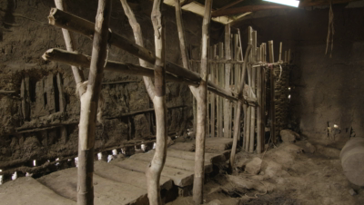 Sheep fattening as a business for youth and women groups