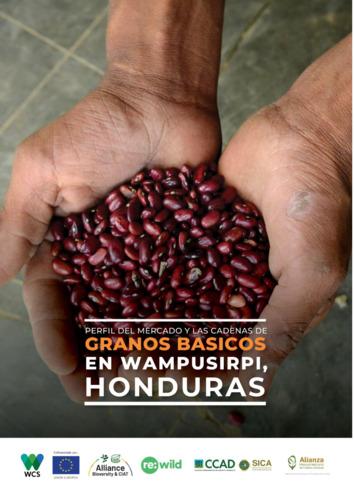 Perfil del mercado y las cadenas de granos básicos en Wampusirpi, Honduras