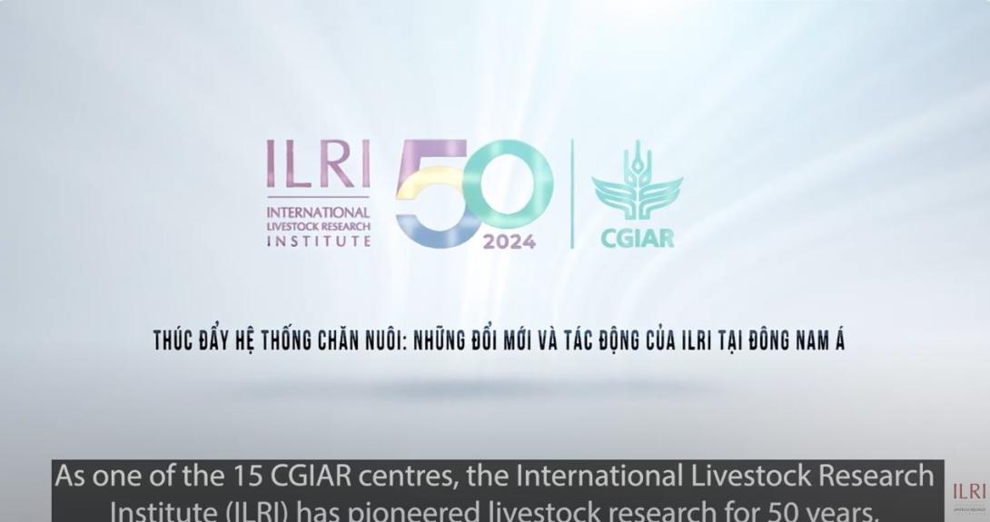 Advancing livestock systems: ILRI’s innovations and impacts in Southeast Asia