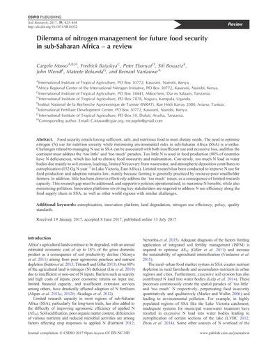 Dilemma of nitrogen management for future food security in sub-Saharan Africa – a review