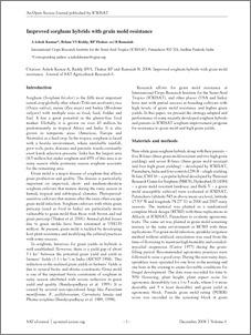 Improved sorghum hybrids with grain mold resistance