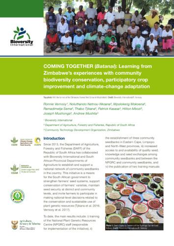 “COMING TOGETHER” (Batanai): Learning from Zimbabwe’s experiences with community biodiversity conservation, participatory crop improvement and climate change adaptation