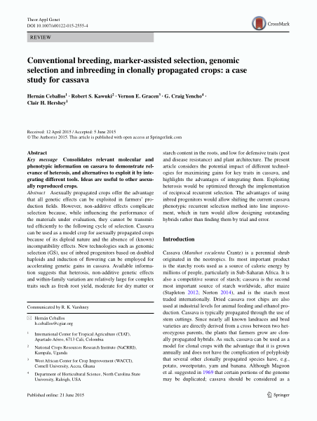 Conventional breeding, marker-assisted selection, genomic selection and inbreeding in clonally propagated crops: a case study for cassava