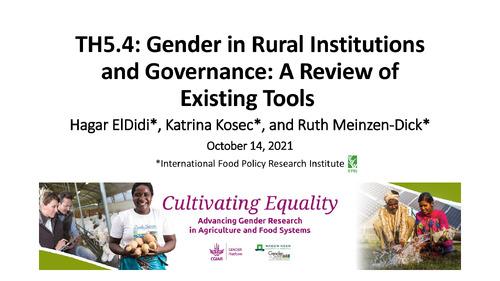 TH5.4: Gender in Rural Institutions and Governance: A Review of Existing Tools 