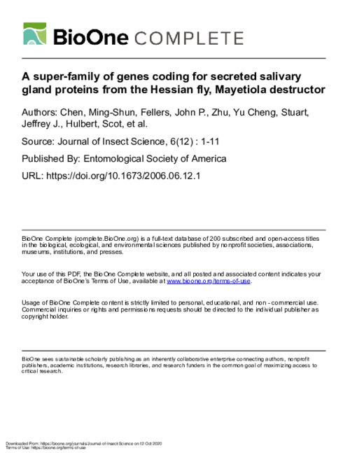 A super-family of genes coding for secreted salivary gland proteins from the Hessian fly, Mayetiola destructor