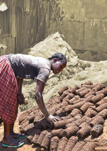 An assessment of the business environment for waste-to-energy enterprises and how it affects women entrepreneurs in Kenya