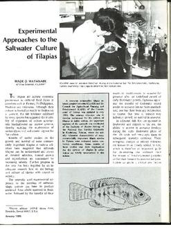 Experimental approaches to the saltwater culture of tilapias