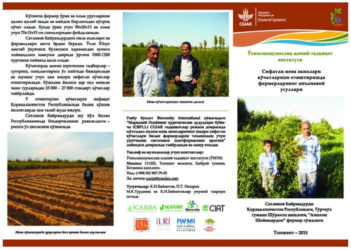Сифатли мева экинлари кучатларини етиштиришда фермерларнинг анъанавий усули: фермер Байрамдурди Сатликов. Farmer’s traditional technology of production of quality planting material of fruit trees: farmer Mr. Bayramdurdi Satlikov