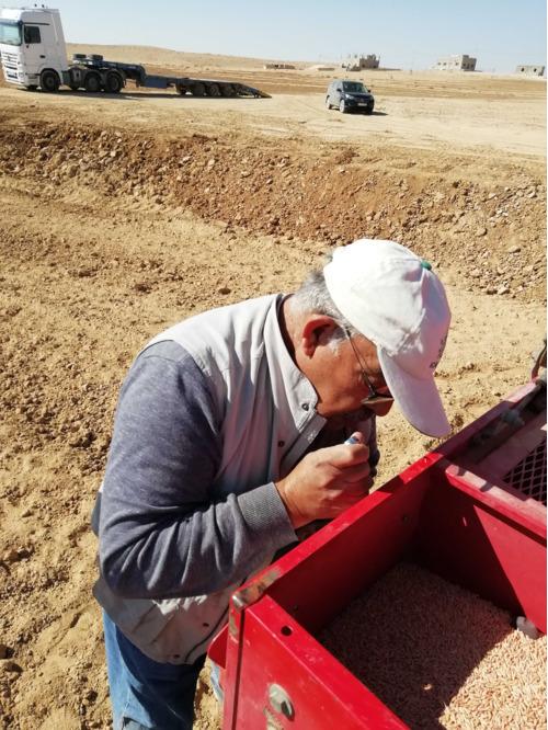 Marab - water harvesting based agriculture